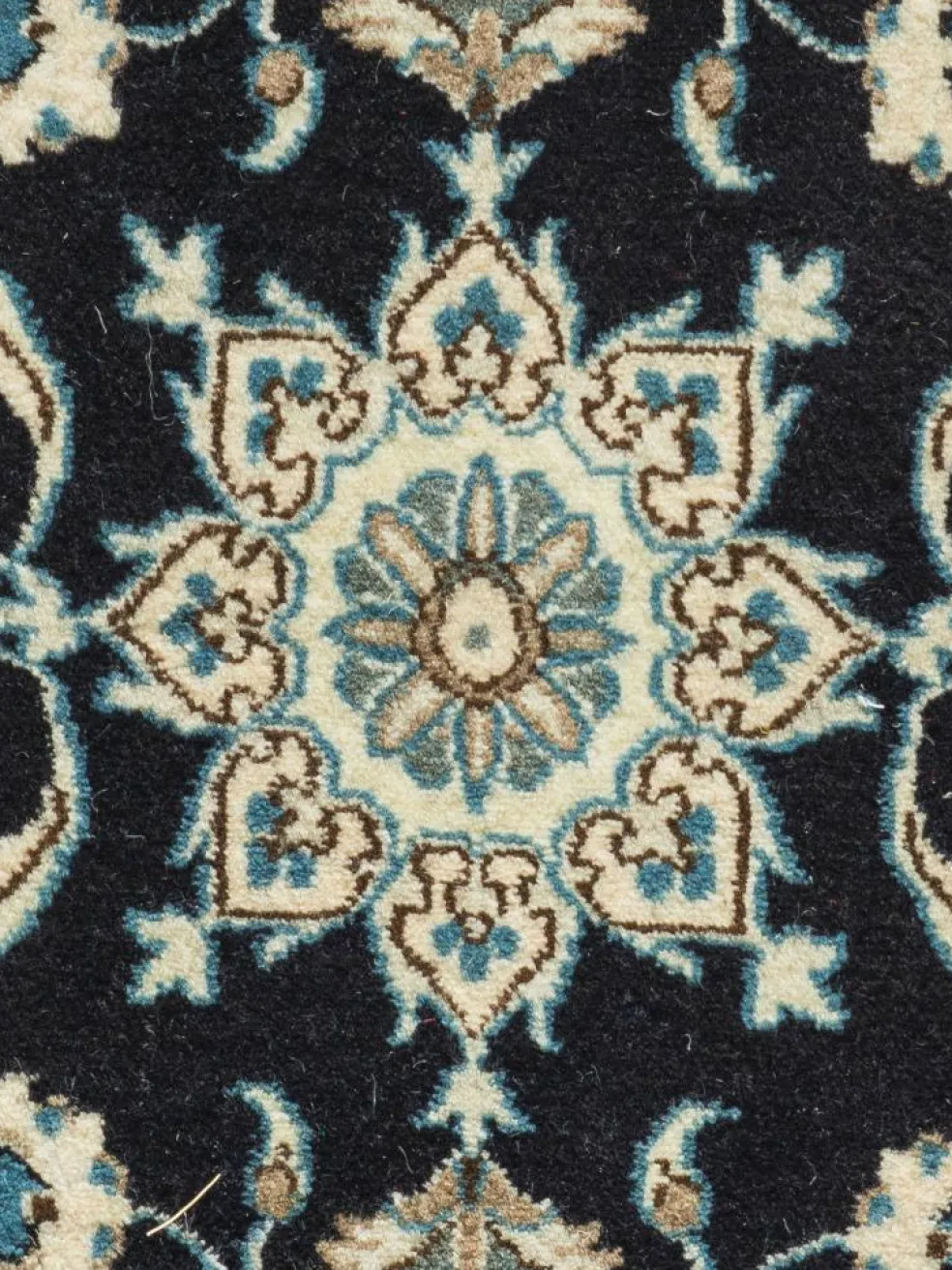 Kaschmar Nain 12 Lah