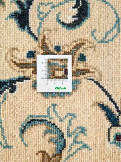 Kaschmar Nain 12 Lah