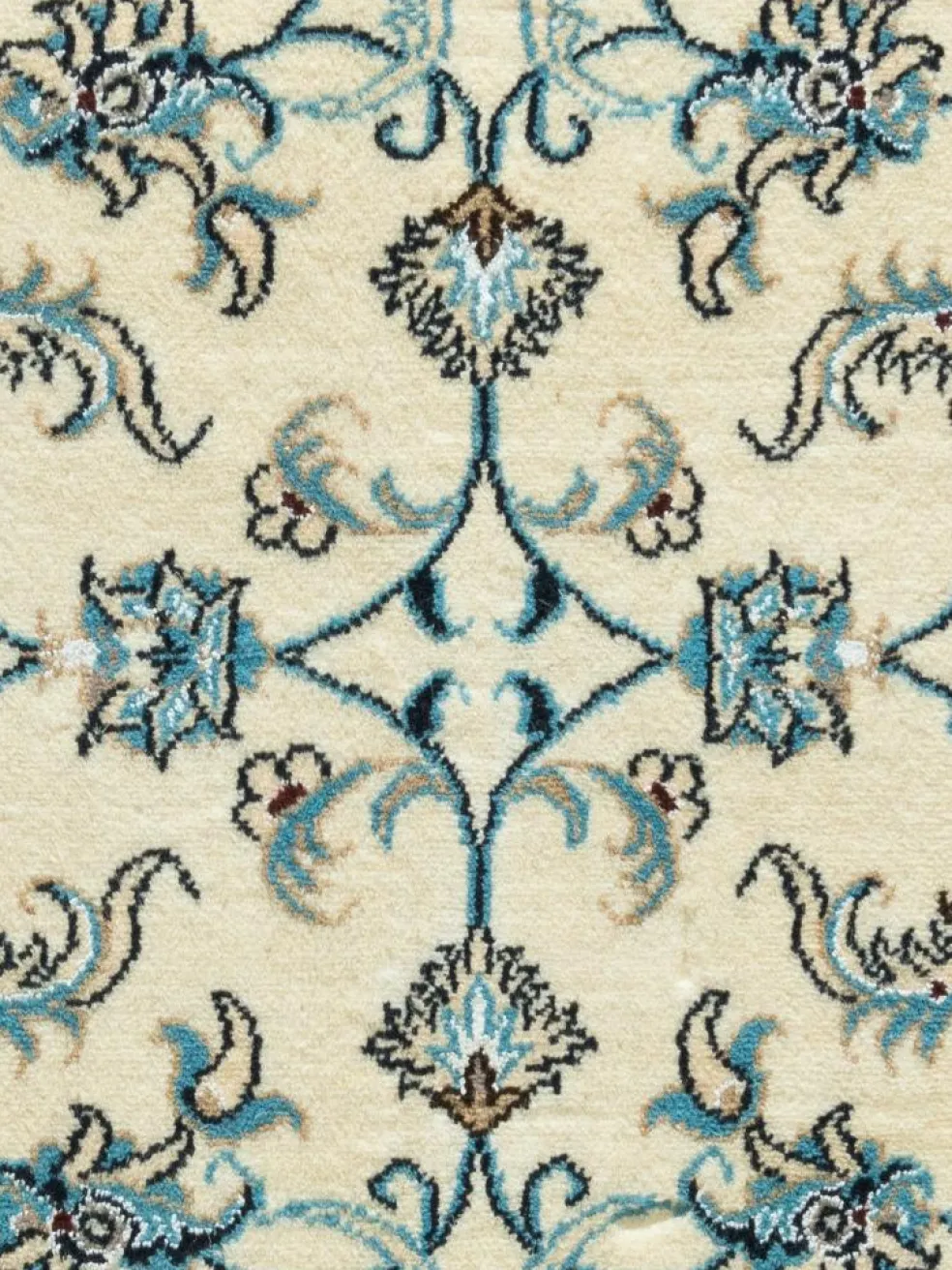 Kaschmar Nain 12 Lah