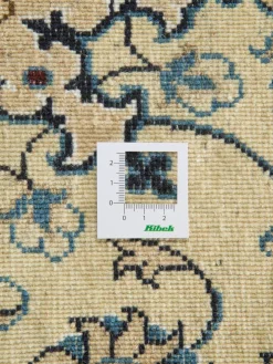 Kaschmar Nain 12 Lah