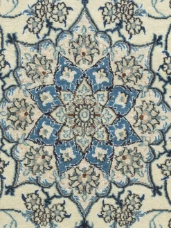 Kaschmar Nain 12 Lah