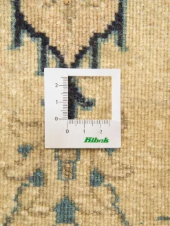 Kaschmar Nain 12 Lah