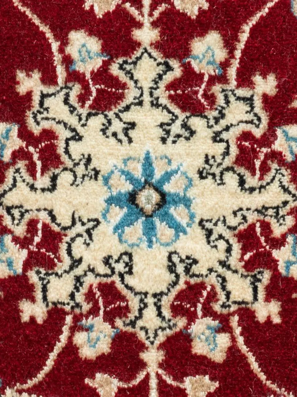 Kaschmar Nain 12 Lah