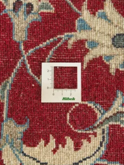 Kaschmar Nain 12 Lah