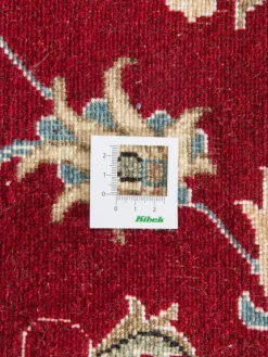 Kaschmar Nain 12 Lah