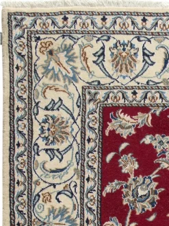 Kaschmar Nain 12 Lah