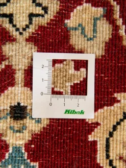 Kaschmar Nain 12 Lah