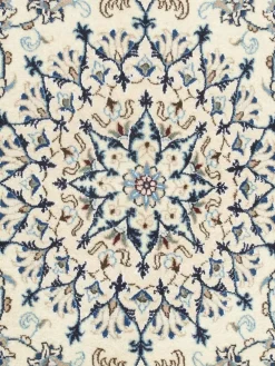 Kaschmar Nain 12 Lah