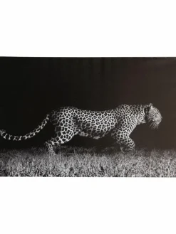 Leopard auf der Jagd