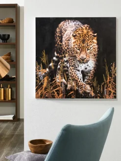 Leopard im Gras