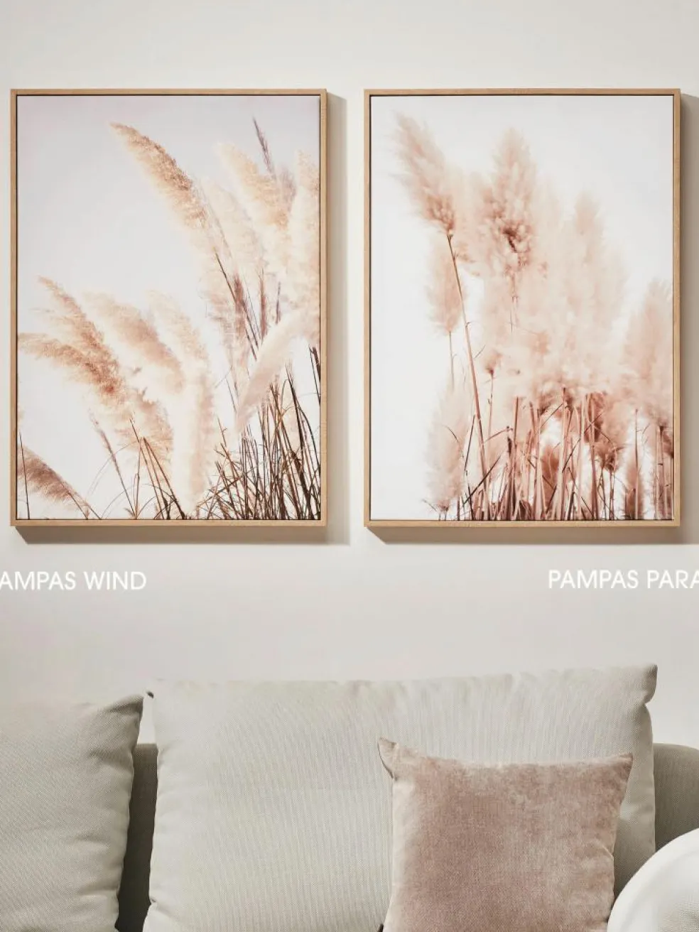 Pampas Wind