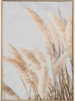 Pampas Wind